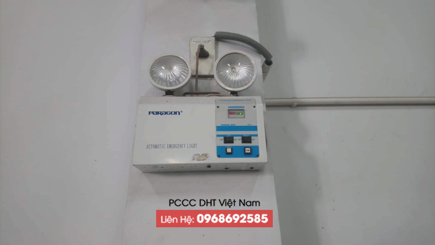 Đèn sự mắt ếch